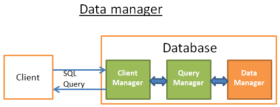 data-manager